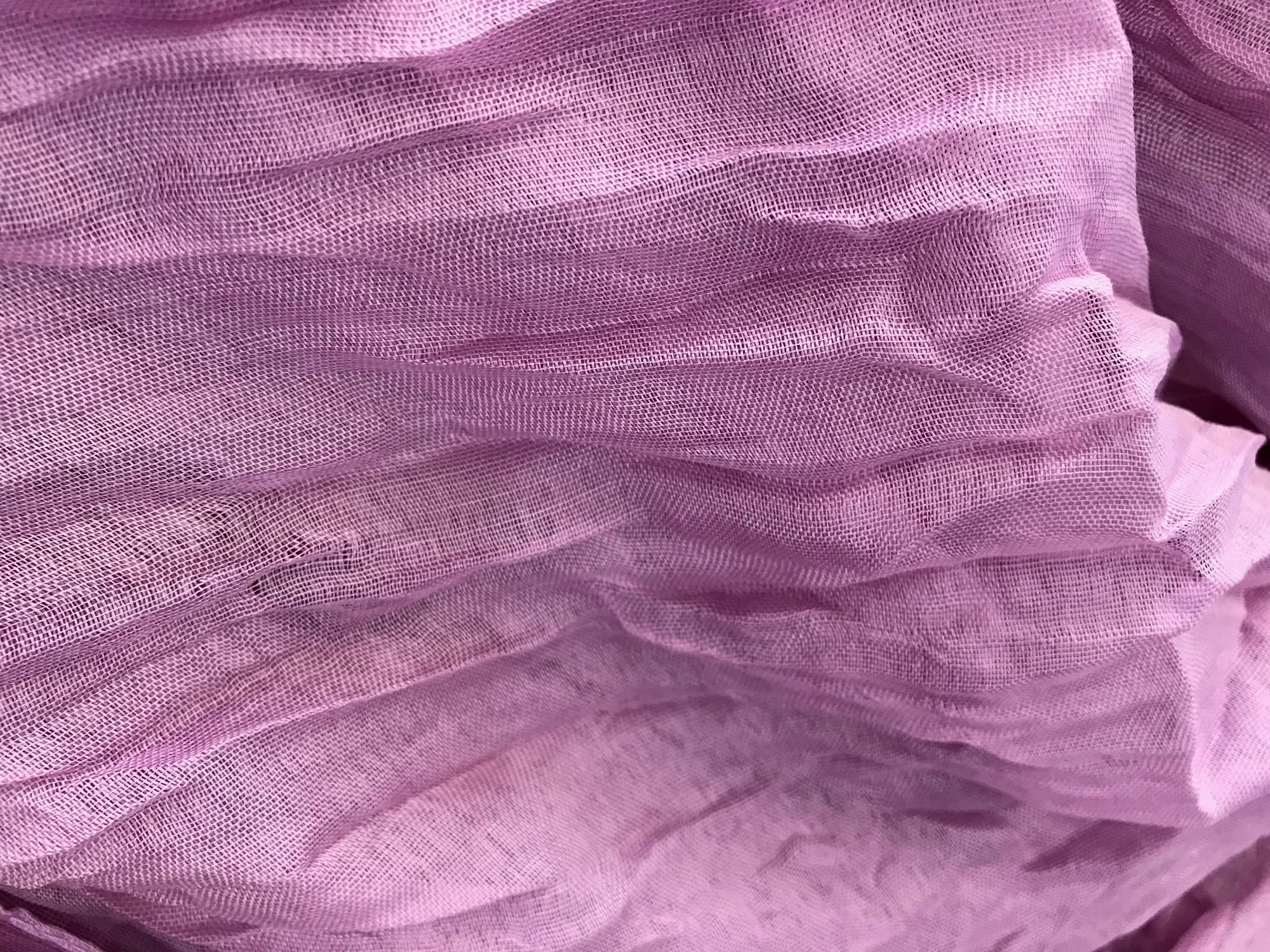 Womens Cotton Voile Scarf • Assorted Colours 