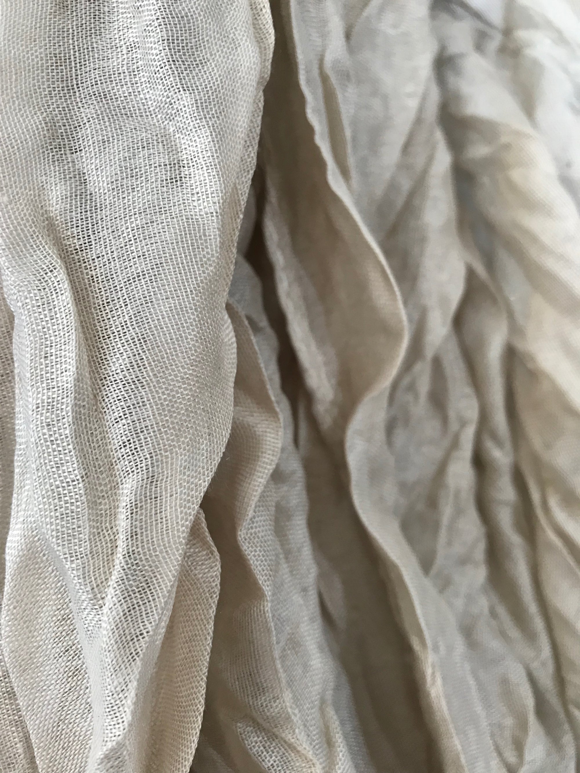 Womens Cotton Voile Scarf • Assorted Colours 