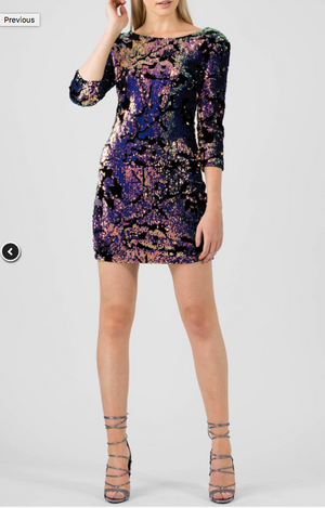 Velvet Sequin Dress