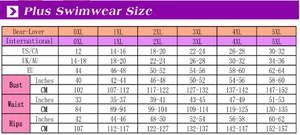 Bathers • Plus Size High Waist Bikini Swimsuit • Pink Leopard Print