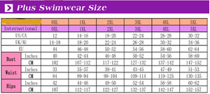 Bathers • Plus Size High Waist Bikini Swimsuit • Rose Print