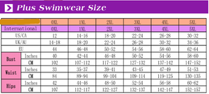 Bathers • Plus Size High Waist Bikini Swimsuit • Leopard Print