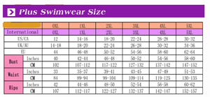 Bathers • Plus Size High Waist Bikini Swimsuit • Tropical Print